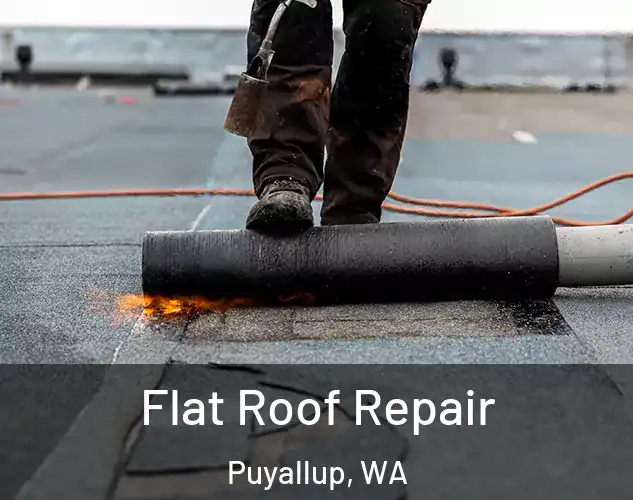  Flat Roof Repair Puyallup, WA