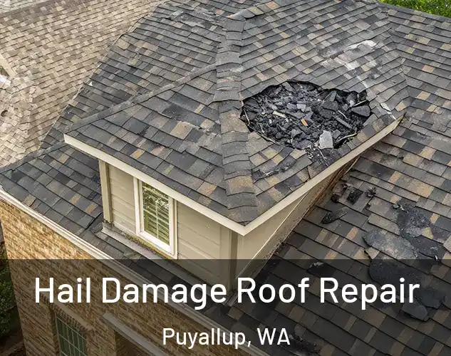  Hail Damage Roof Repair Puyallup, WA