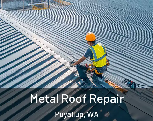  Metal Roof Repair Puyallup, WA