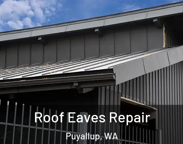  Roof Eaves Repair Puyallup, WA