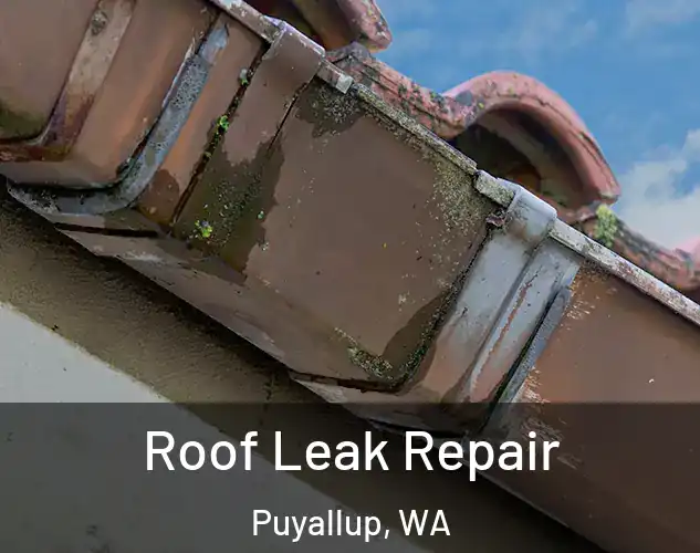  Roof Leak Repair Puyallup, WA