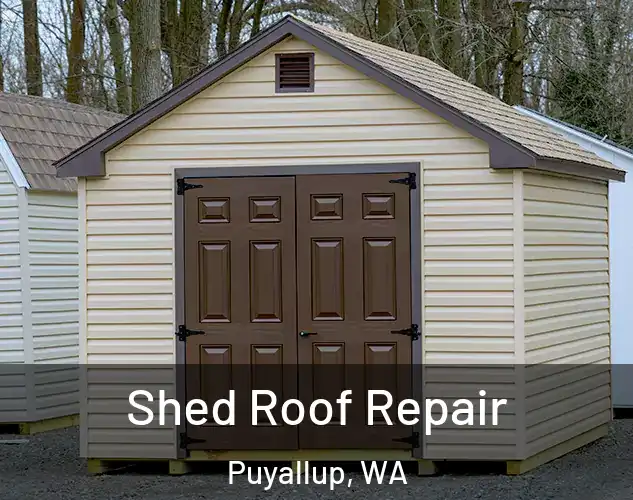  Shed Roof Repair Puyallup, WA