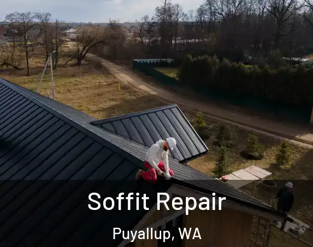 Soffit Repair Puyallup, WA